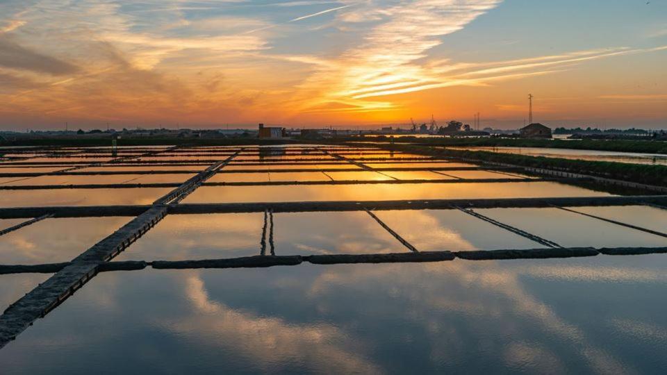 Moliceiros Aveiro Διαμέρισμα Εξωτερικό φωτογραφία